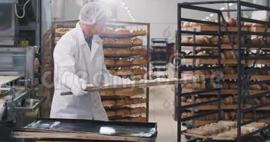 成熟男子面包师在特殊的白色设备，采取货架的原始培育，以运输所有的培育，以烘焙在烤箱
